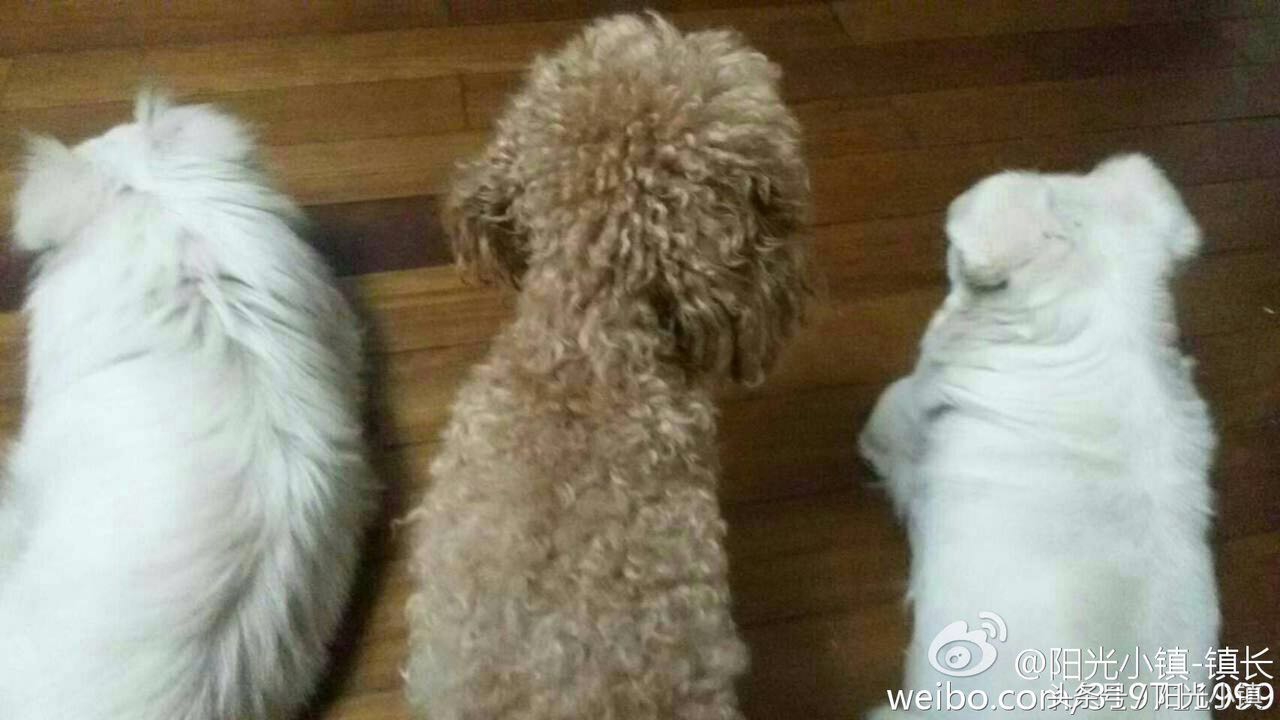 鎴戠殑鑹伴毦鏃ュ瓙,鎴戠殑鑹伴毦宀佹湀