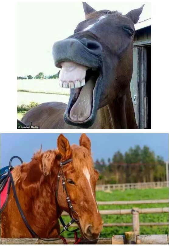 田野音乐会空降清逸园，花海与音乐，约不约？