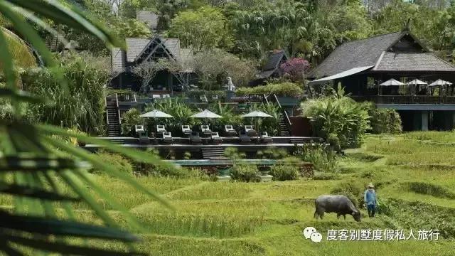 清迈四季酒店值得去吗,清迈四季酒店在哪里