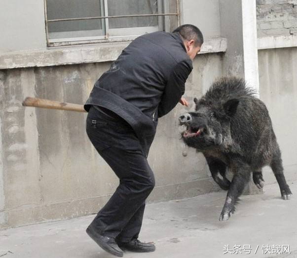 美女手上拿的是什么？猎杀最凶猛动物的复古*器武**