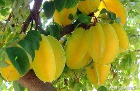 三亚的旅游注意事项！