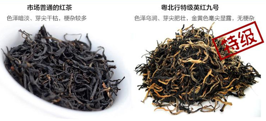 福建三大红茶和其特点,中国四大红茶特征