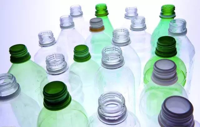 三件家用之物，台长教你八步法“高压”大苗，可当年观花当年吃果