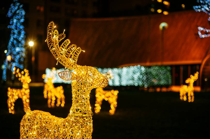 定位独特的LeicaM-D,只是没有屏幕而已吗?