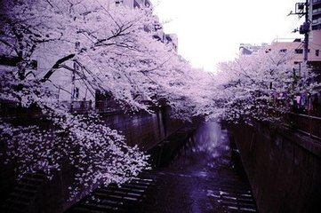 《凌乱美传奇》序章