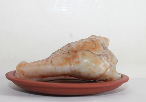 珍馐佳肴饕餮宴,珍馐佳肴宴宾朋