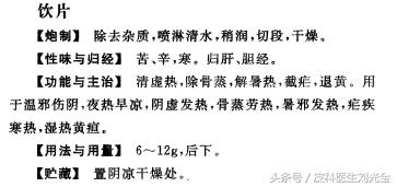 二月茵陈四月蒿包括艾蒿吗,茵陈蒿和青蒿图片