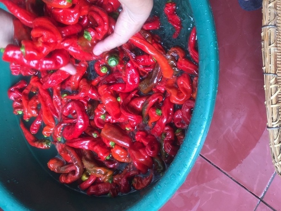 原创——巧媳妇看这里，还原农村的坛子菜4（剁辣椒）