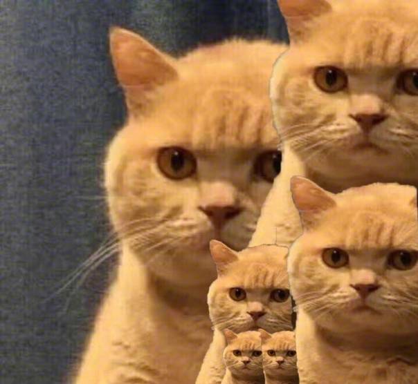 服了!路虎司机嫌春节吃太多为减肥辟谷5天,饿晕后撞车!