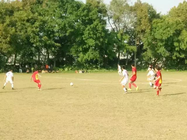 全国u14-15羽毛球比赛总决赛,青岛海牛u15vs青岛足球u14