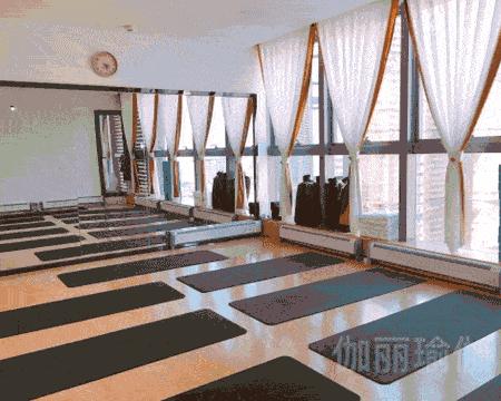 圣珈瑜伽理疗馆门票,圣珈瑜伽私教一对一