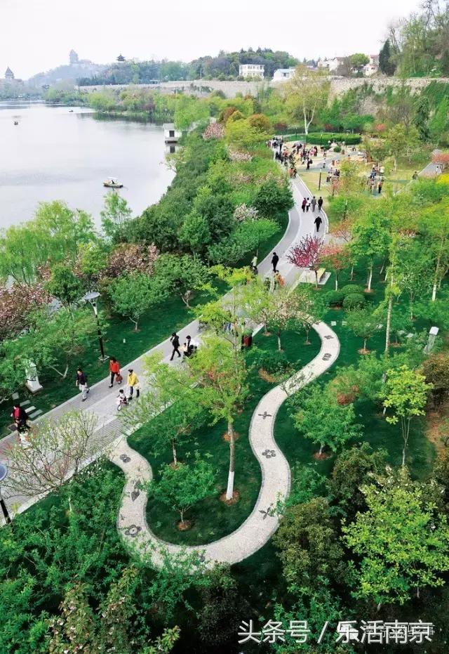 南京梅花赏花游记,好玩的摘草莓胜地打卡