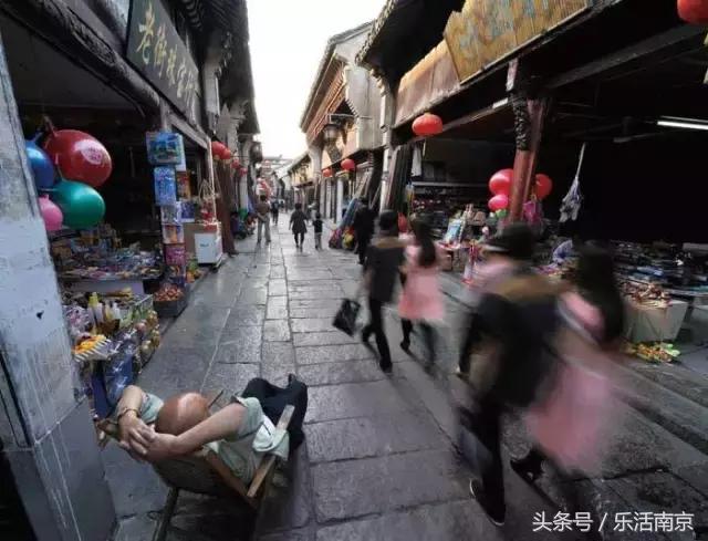 南京梅花赏花游记,好玩的摘草莓胜地打卡