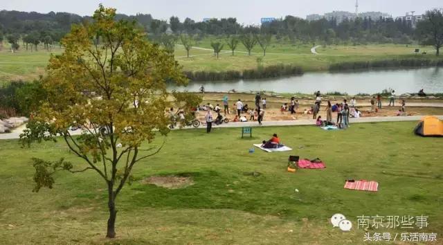 南京梅花赏花游记,好玩的摘草莓胜地打卡