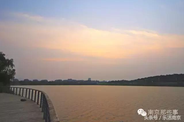 南京梅花赏花游记,好玩的摘草莓胜地打卡