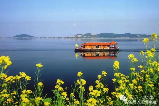 南京梅花赏花游记,好玩的摘草莓胜地打卡