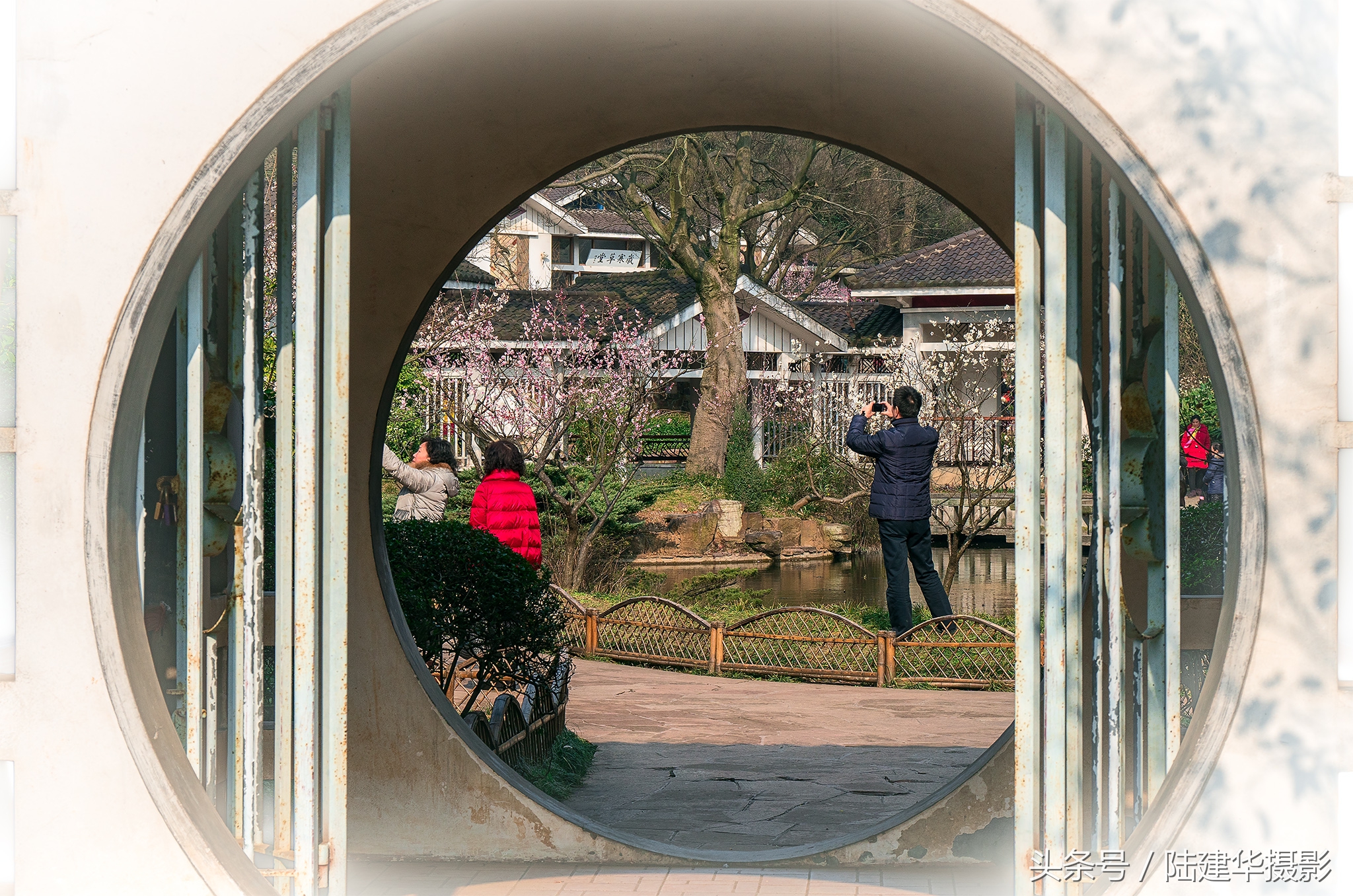 无锡梅园,春风十里不如你