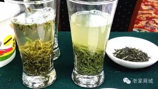 最好的信阳毛尖,最好的信阳毛尖是哪一款