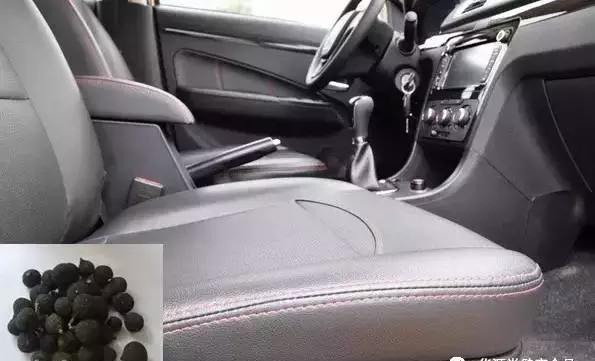 柑胎的用处，可别说你不知道