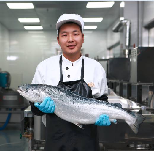 交了100万学费后，他“卖牛肉”卖了3.5亿