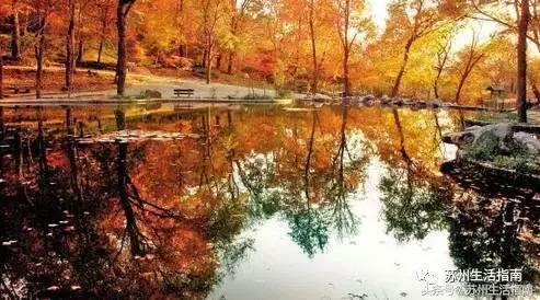 江苏各地级市gdp50年排名,2022江苏第一季度各市gdp公布时间