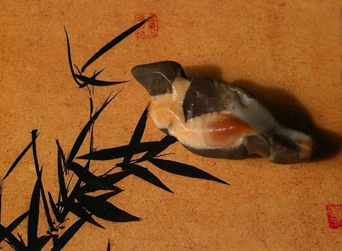 抱月轩主禹玉良藏石选集