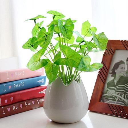 吸甲醛最利害的6款绿色盆栽,家中不妨放几盆,好养还漂亮