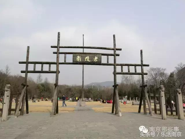 南京梅花赏花游记,好玩的摘草莓胜地打卡