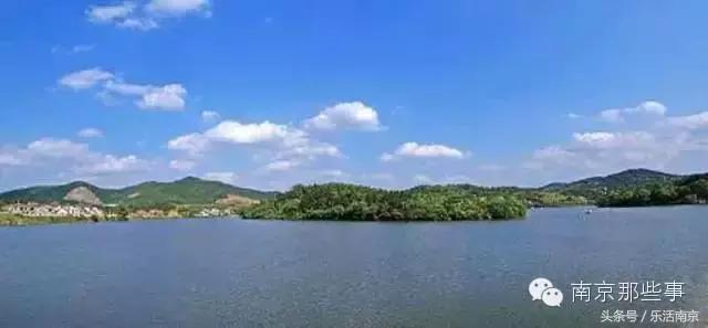 南京梅花赏花游记,好玩的摘草莓胜地打卡