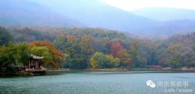 南京梅花赏花游记,好玩的摘草莓胜地打卡