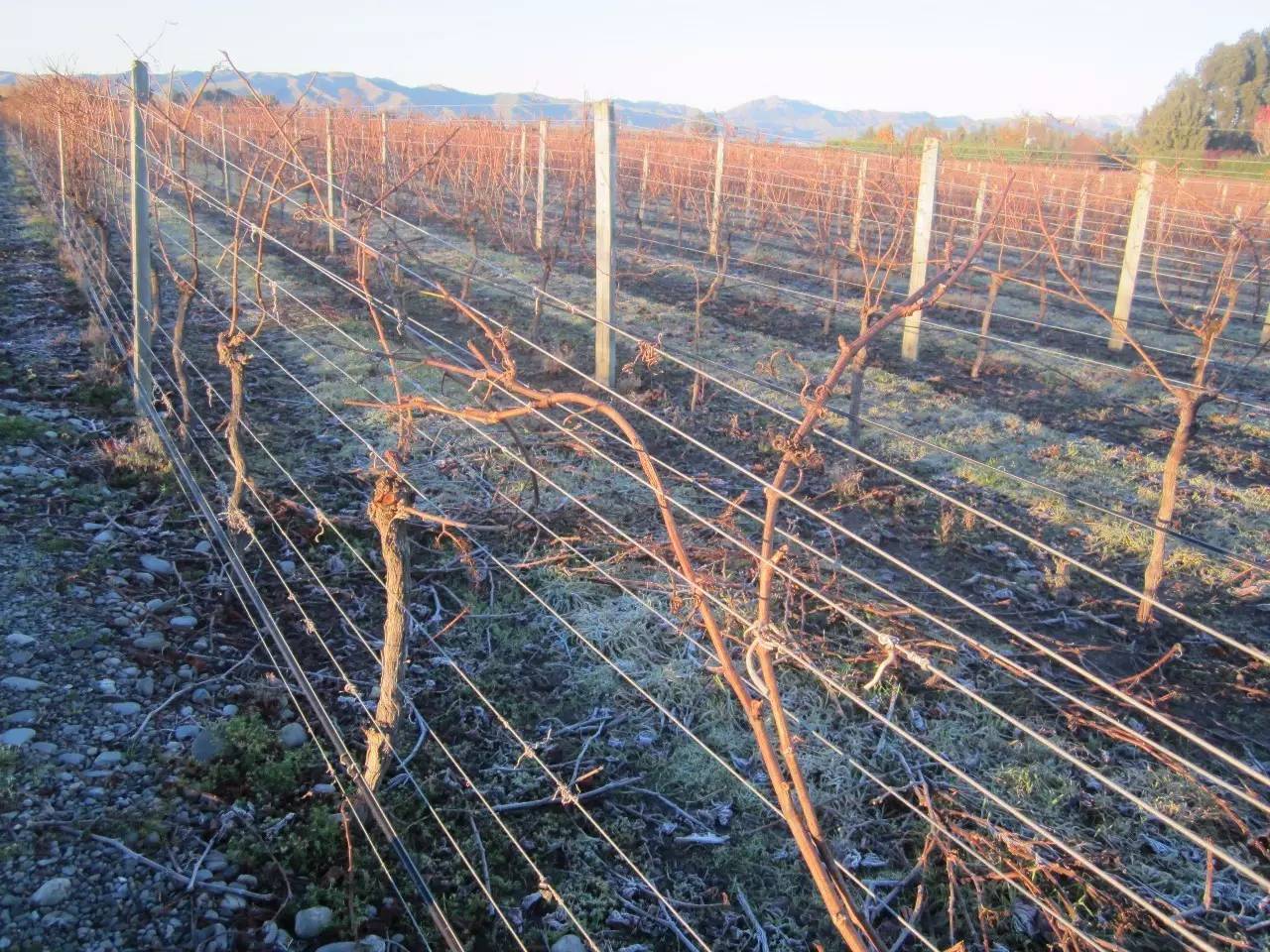 新西兰十大高收入工种排行,新西兰最赚钱的十大职业