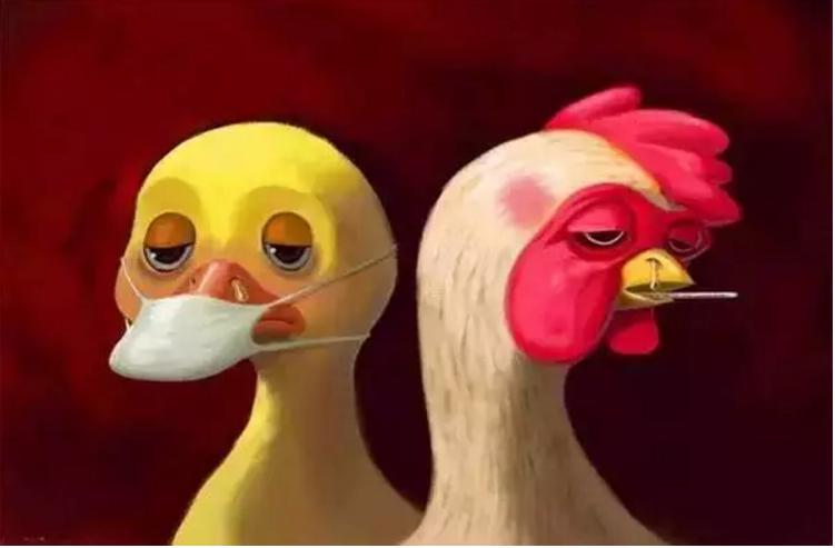 面对流感怎样有效防护,怎样可以预防禽流感