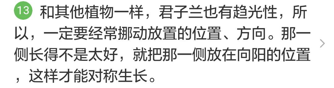 君子兰掉的小根能繁殖吗,君子兰繁殖不分盆好看吗