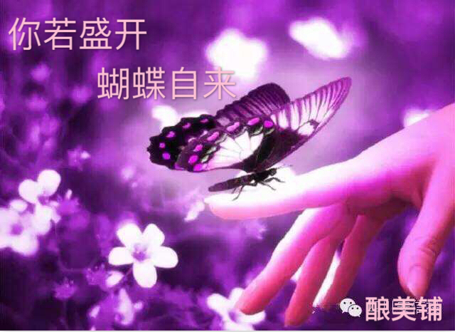 你若盛开蝴蝶自来歌曲原唱,你若盛开蝴蝶自来女声