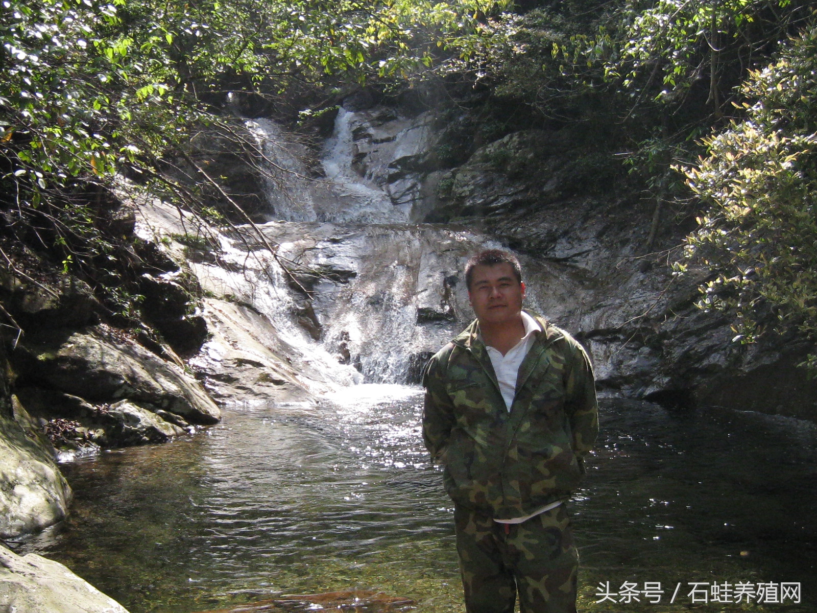 石蛙适合养殖海拔高度,石蛙养殖海拔多少最好