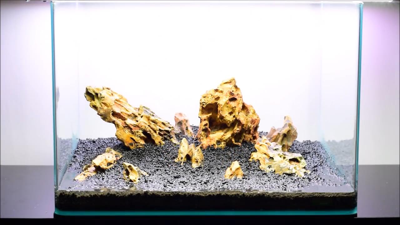 水草造景艺术从入门到精通pdf,初学水草造景教程