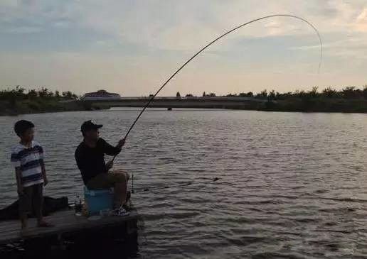 传统钓溜鱼的正确方法与技巧,小白钓鱼溜鱼技巧