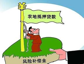 土地贷款分为几个步骤,土地贷款一亩能贷多少