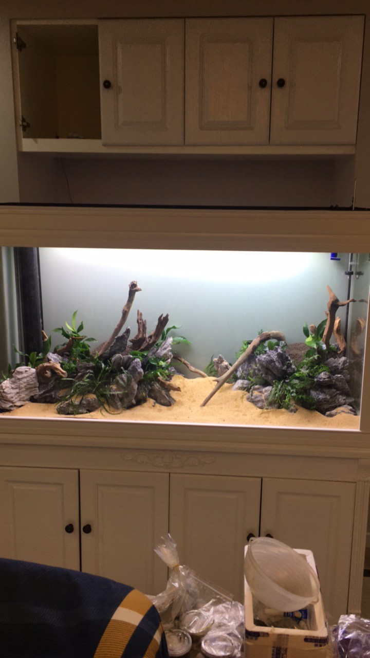 装修完成一年的感受,装修做久了一些感悟