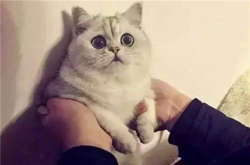 涂上口红好丑,涂上口红就不憔悴了