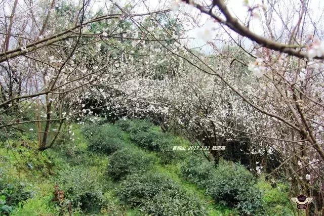 军哥户外,军哥徒步去西藏