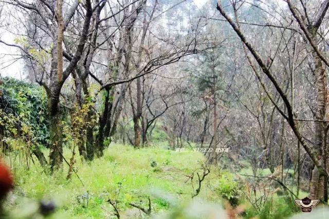 军哥户外,军哥徒步去西藏