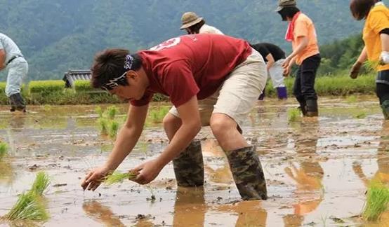 将一个濒临倒闭的百年米店做到年入15亿，他却更怕孩子们