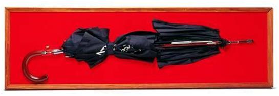 冷战初期杀伤力最强的生化武器,冷战期间美国杀虫剂事件