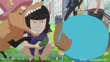 海贼王乔巴假扮船长,海贼王草帽海贼团乔巴悬赏金