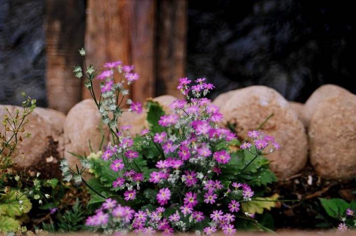 丽江市就是丽江古城吗,丽江就是香格里拉吗