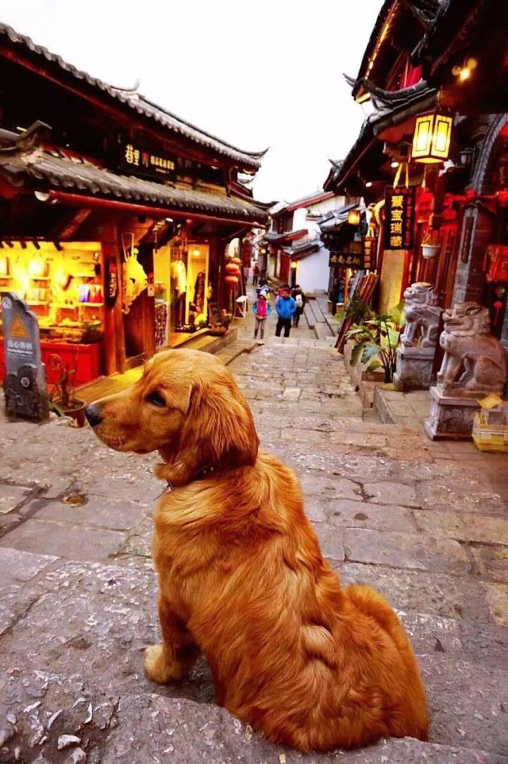 丽江市就是丽江古城吗,丽江就是香格里拉吗