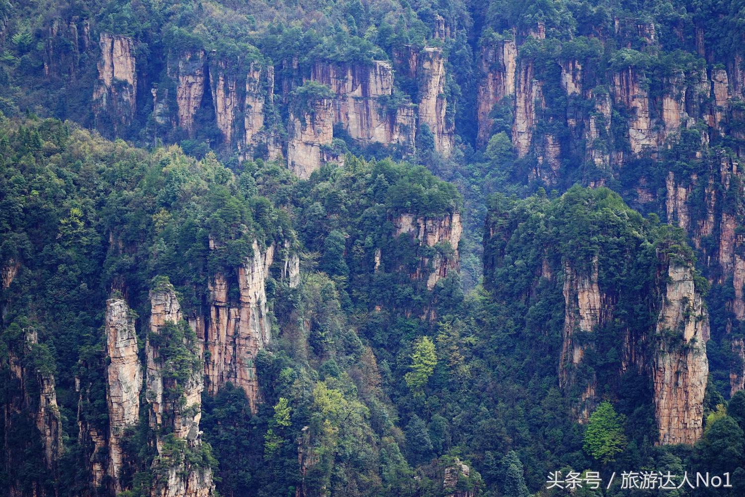 游记张家界8天旅游详细攻略,张家界天门山森林公园美景游记
