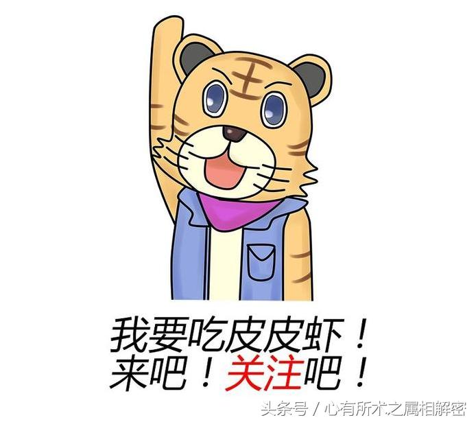 生肖五行速记,生肖命理歌诀详解视频