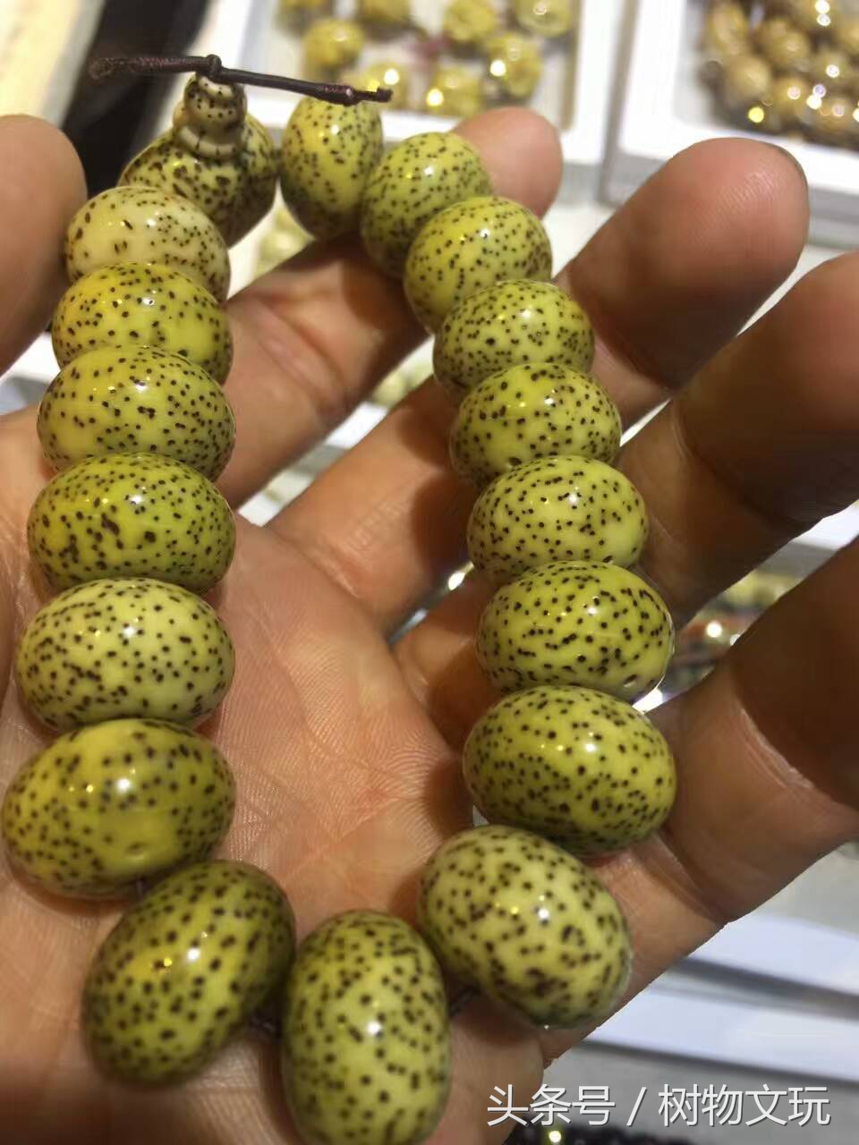 星月菩提放着变色了怎么办,星月菩提子上色方法